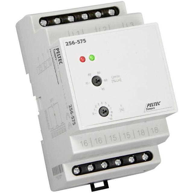 256-575 Peltec Timers and Controls Moniteur - Sortie relais