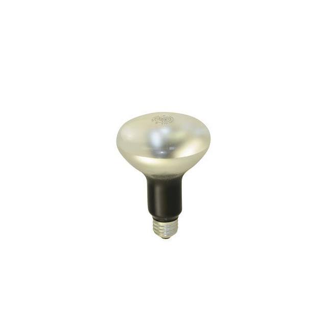 WW-4DGD-2 Interlight  Accessori