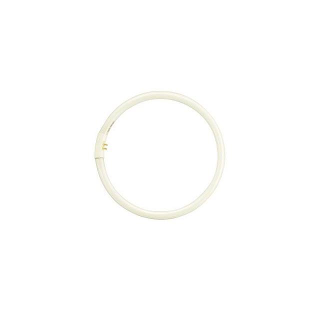 WW-Q9DK-8 Interlight  Accessori