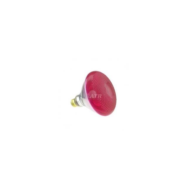WX-EE6S-1 Interlight  Lampade - Incandescenti Neon