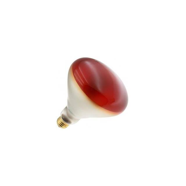 WX-EE8K-3 Interlight  Lampen - Glühlampen Neon