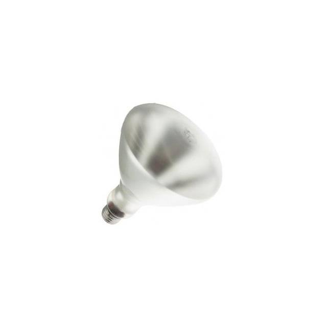 2PAK:WX-EE8V-7 Interlight  Lampen - Glühlampen Neon