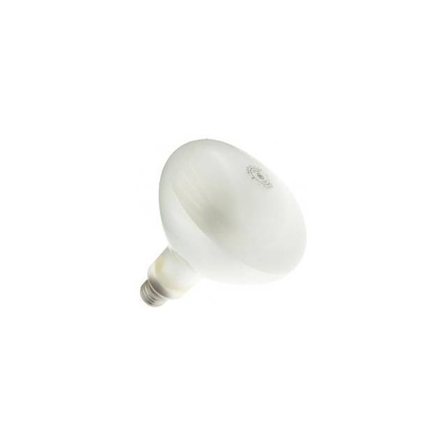 4PAK:WX-EEC2-0 Interlight  Lampen - Glühlampen Neon