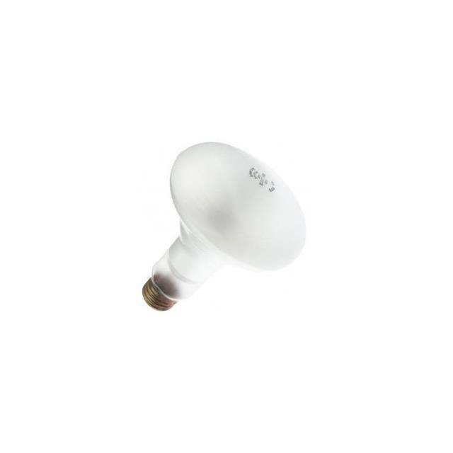WX-EH37-7 Interlight  Lampes - Incandescentes Néons