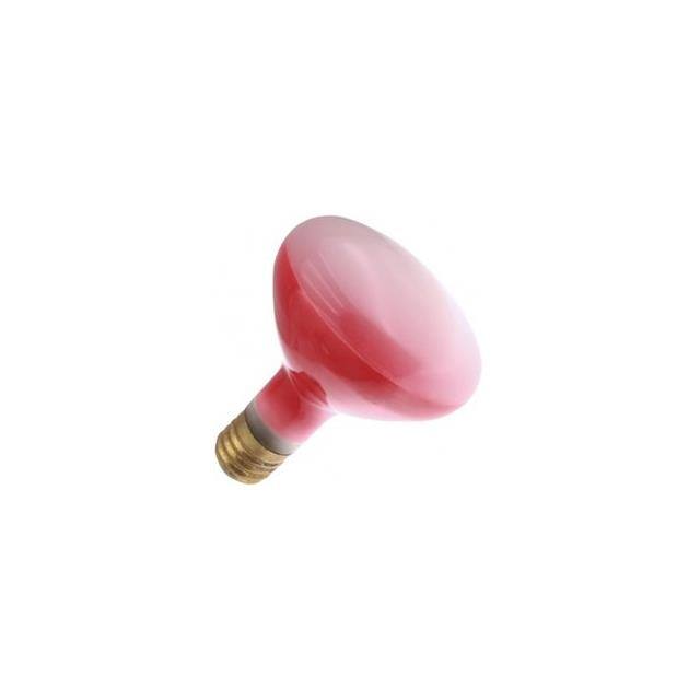 WX-EJ9K-7 Interlight  Lampes - Incandescentes Néons