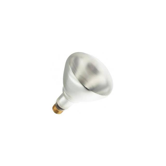 WX-EJFT-4 Interlight  Lampade - Incandescenti Neon