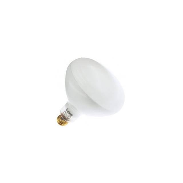 WX-EJRD-8 Interlight  Lampen - Glühlampen Neon