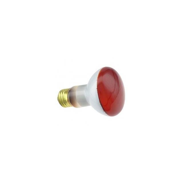 WX-EL55-9 Interlight  Lampen - Glühlampen Neon