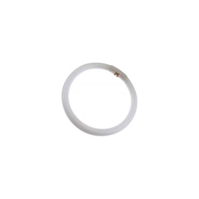 WX-EQX8-0 Interlight  Accessori