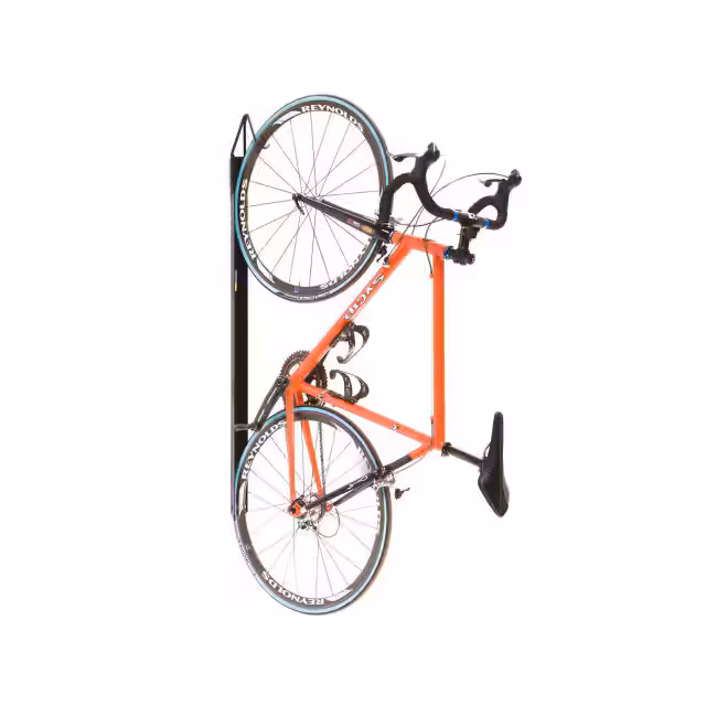 442814 Bike Fixation By Saris  Produits d'extérieur - Porte-vélos et antivols