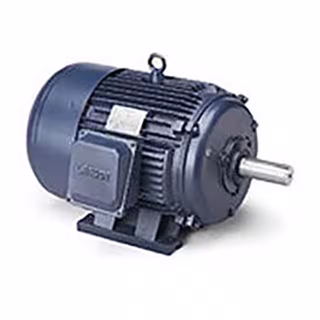 170005.6 Leeson  Motores - CA CC