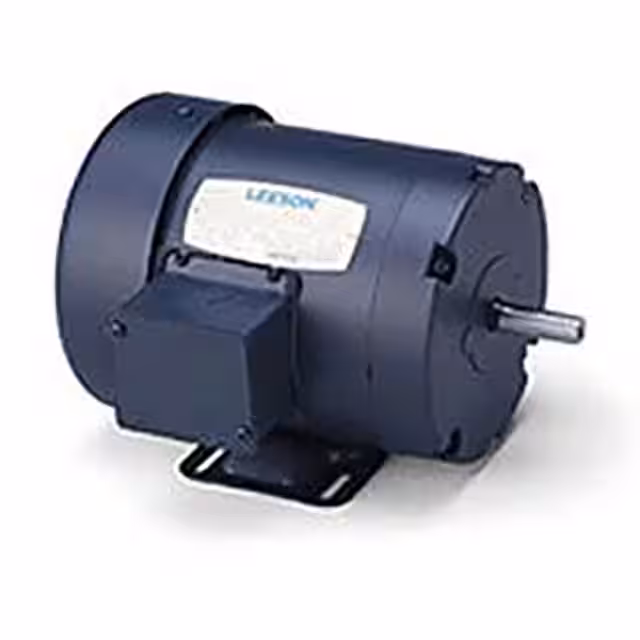 170122.6 Leeson  Motoren - AC DC