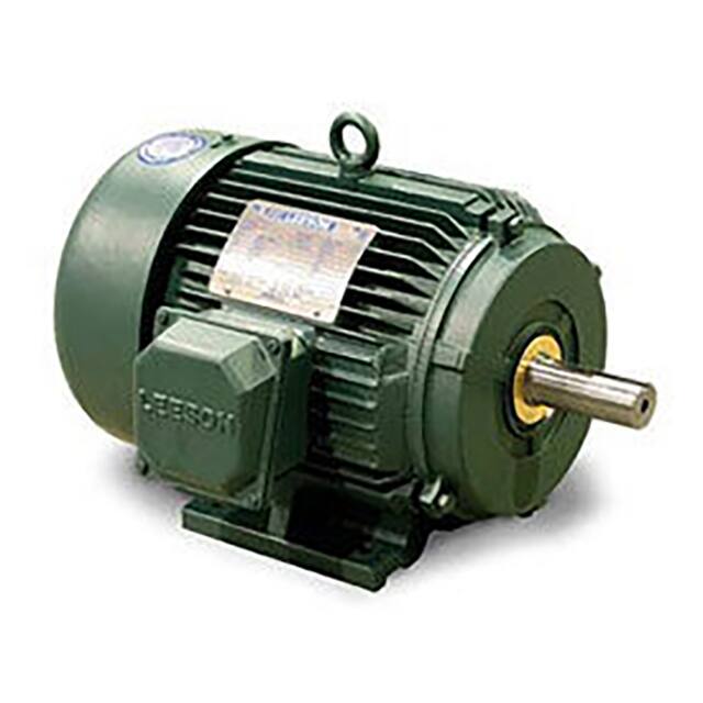 171621.6 Leeson  Motores - CA CC