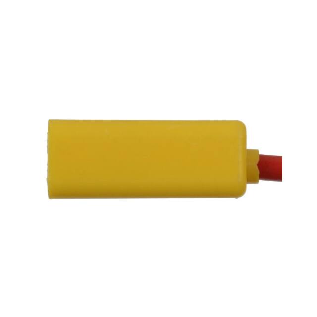 S2299 STANDARD IGNITION  Produits d'entretien et de personnalisation de véhicules