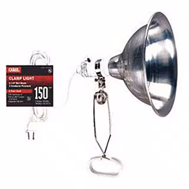 B583398 Carol Brand  Linternas