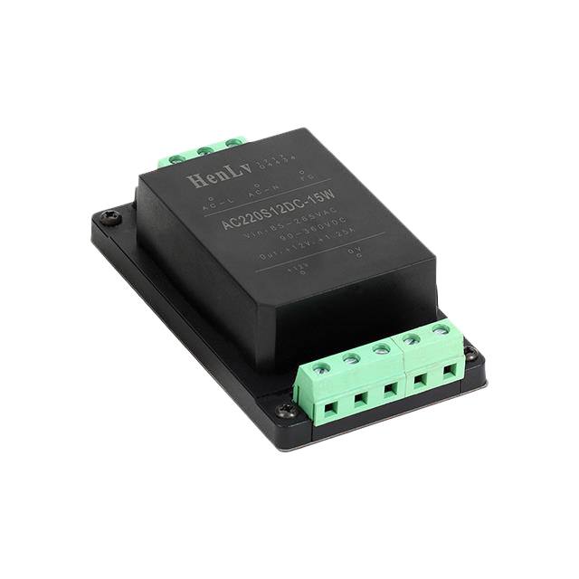 AC220S12DG-15W HenLv Power  Convertitori AC DC