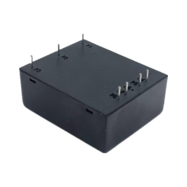 AC220TD2424DC-15W HenLv Power  AC DC Converters
