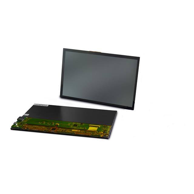 T101GBP002-V0 Shenzhen Wanty Photoelectric  Anzeigemodule - LCD OLED Grafik