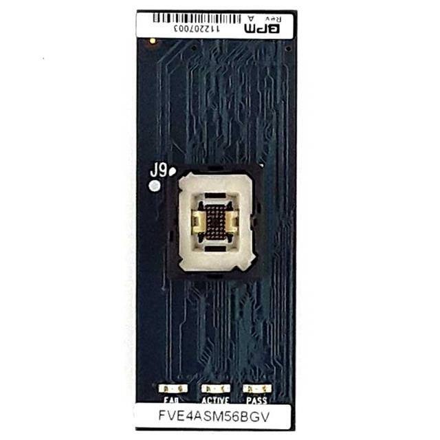 FVE4ASM56BGV BPM Microsystems  Adaptateurs de programmation Sockets