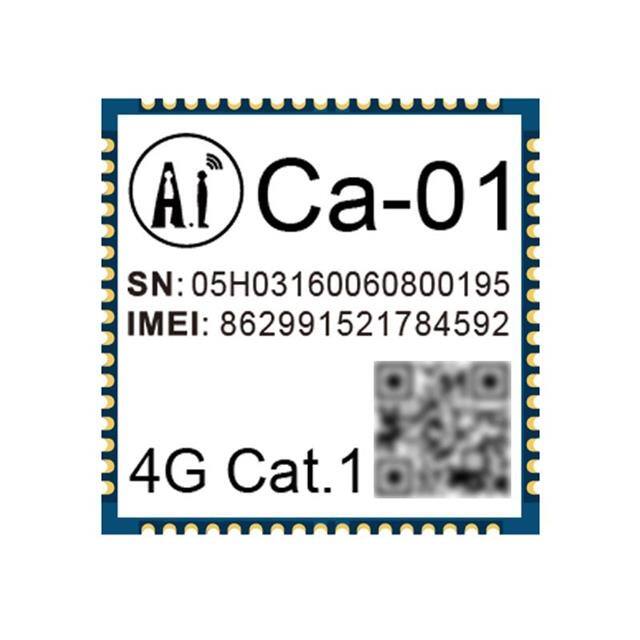 CA-01 Ai-Thinker  RF Transceiver Modules and Modems