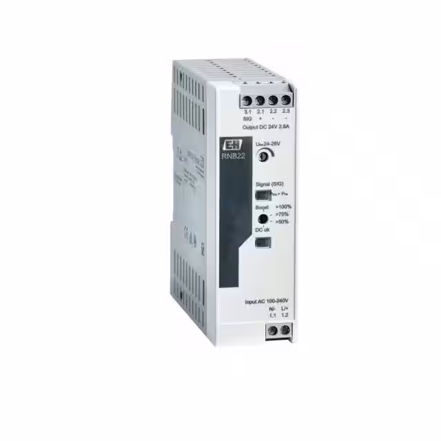 RNB22-AAA Endress+Hauser  Fuentes de alimentación industriales para riel DIN
