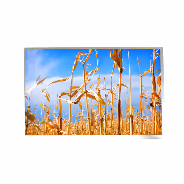 ATM1010L19 AZ Displays  Modules d'affichage - LCD OLED Graphic