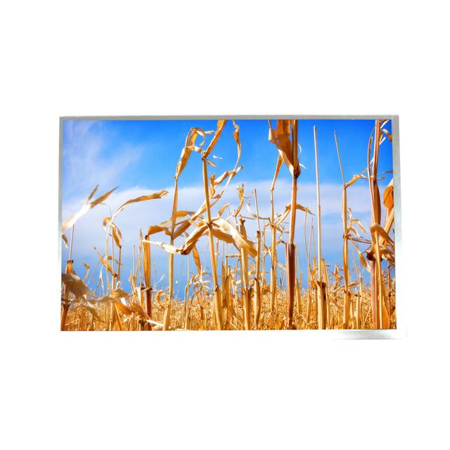 ATM1010L35 AZ Displays  Modules d'affichage - LCD OLED Graphic