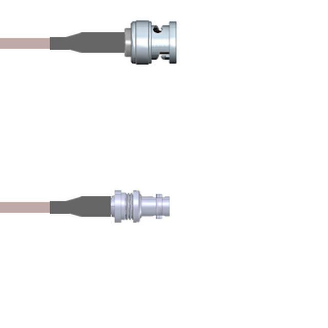 Q-0O00R000S048i Amphenol Custom Cable  Assemblaggi di cavi