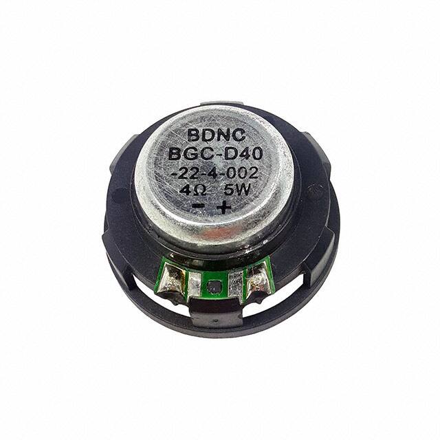 BGC-D40-22-4-002 BDNC (HOLDING) LIMITED  Speakers