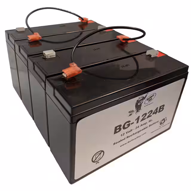 BG-1224B BatteryGuy  Piles rechargeables (secondaires)