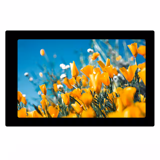 E101RA-HS500-C Focus LCDs  Modules d'affichage - LCD OLED Graphic