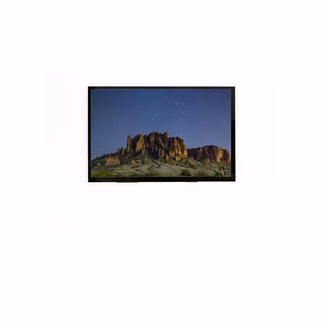 E101RGL1912LB6M350-N Focus LCDs  Modules d'affichage - LCD OLED Graphic