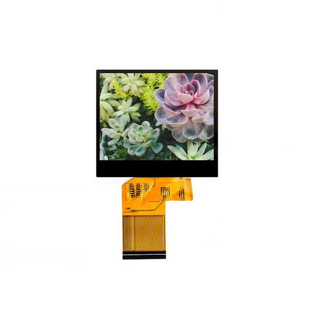 E35RG83224LW2M250-C Focus LCDs  Modules d'affichage - LCD OLED Graphic