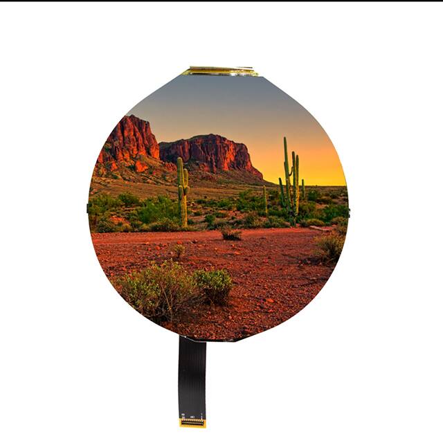 E50RC-FS300-N Focus LCDs  Modules d'affichage - LCD OLED Graphic