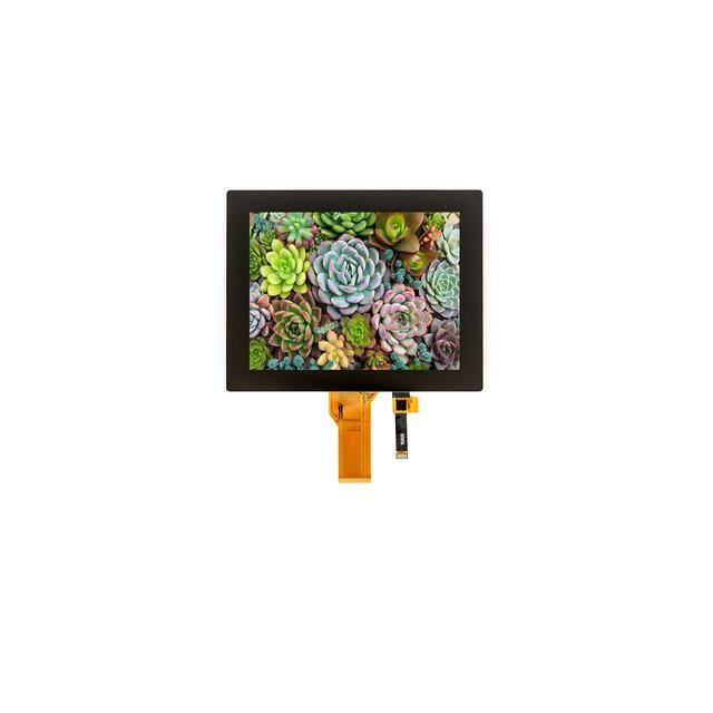 E80RG88060LW6M250-C Focus LCDs  Modules d'affichage - LCD OLED Graphic