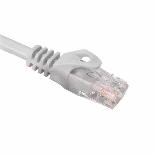 NPC-1915 Quest Technology International Inc.  Assemblaggi di cavi