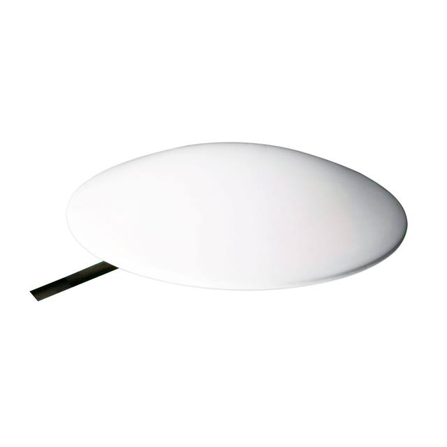 RI.02.02.3000W Taoglas Limited  Antenne RF