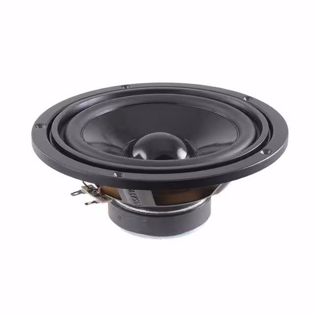 W 170 S - 4 OHM Visaton GmbH & Co. KG  Speakers