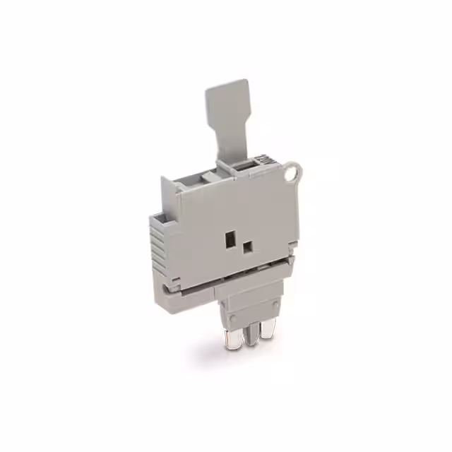 2004-911/1000-867 WAGO Corporation  Accessori