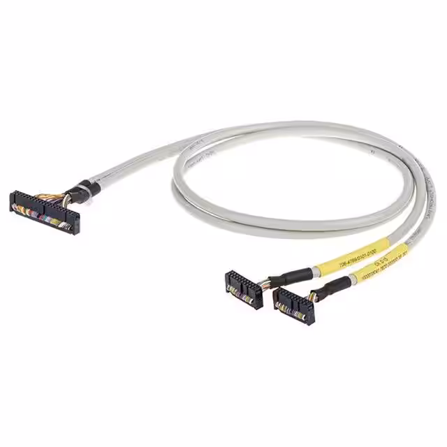 706-4769/101-300 WAGO Corporation Contrôleurs - Assemblages de câbles