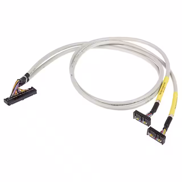 706-6001/300-300 WAGO Corporation Contrôleurs - Assemblages de câbles