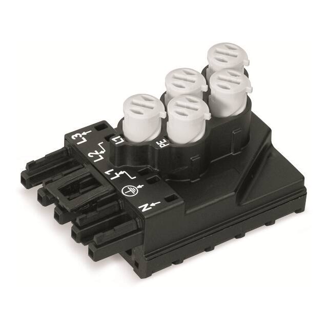 772-262 WAGO Corporation  Accessori