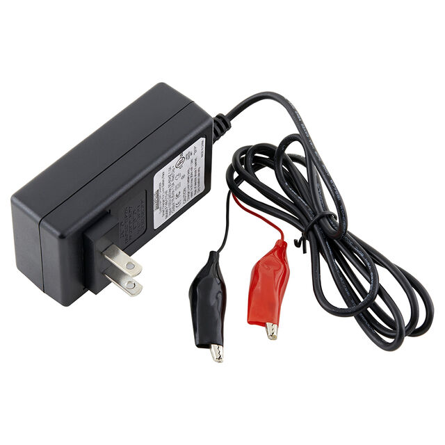 F148-010-W Dantona Industries  Chargeurs de batterie