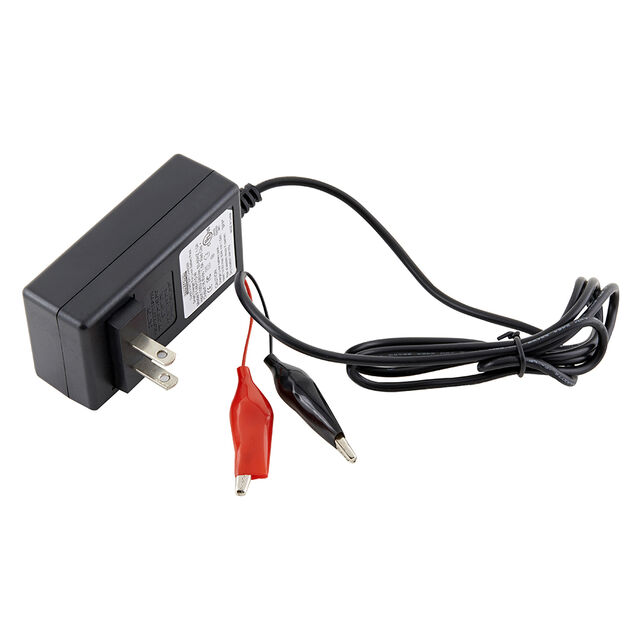 F148-015-W Dantona Industries  Chargeurs de batterie