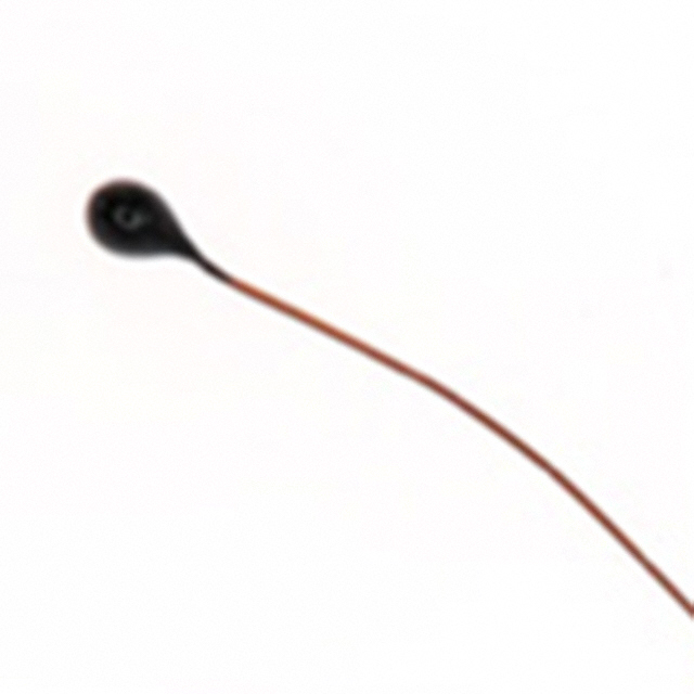 MC65F103B Amphenol Thermometrics  NTC Thermistors