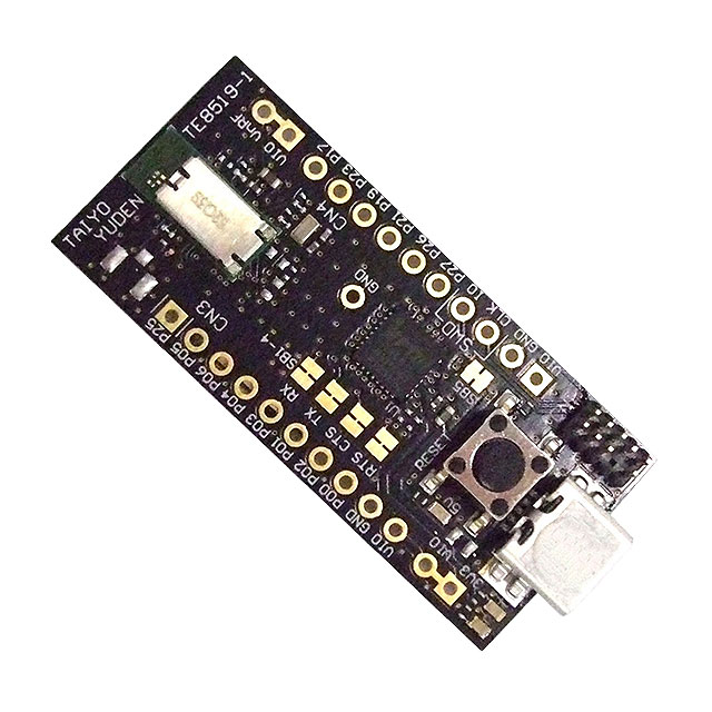 EBSGJNZWY Kaga FEI America, Inc.  Cartes de kits d'évaluation et de développement RF