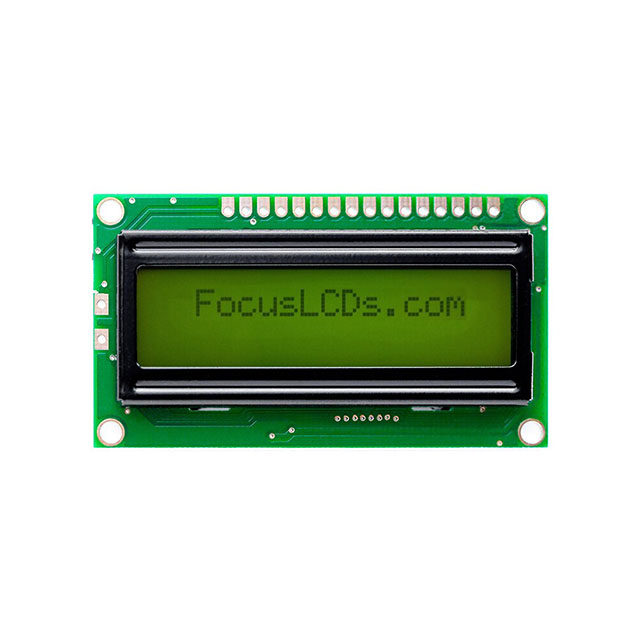 C162ELBSYN06WR Focus LCDs  Écran LCD OLED à caractères et chiffres