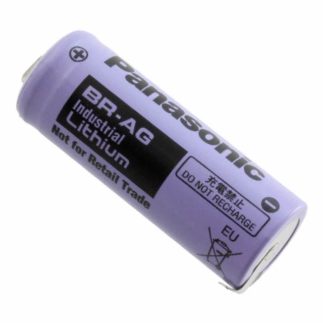 BR-AGE2P Panasonic - BSG  Piles non rechargeables (primaires)