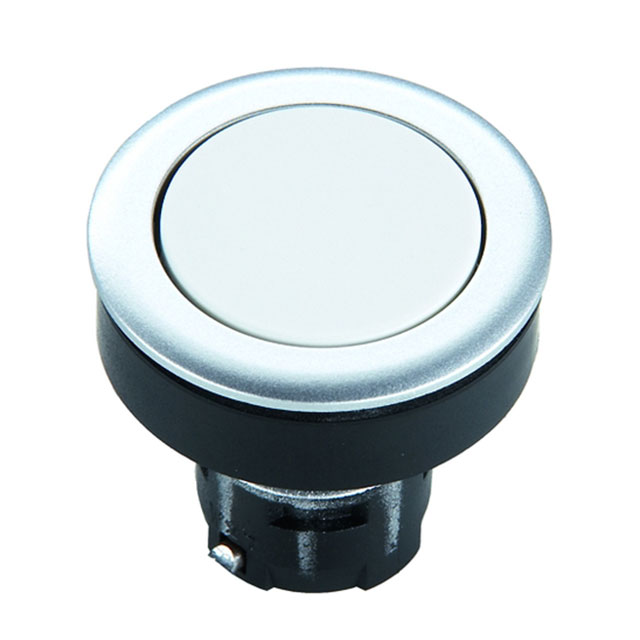 1.65.126.011/1600 RAFI USA  Voyants du panneau