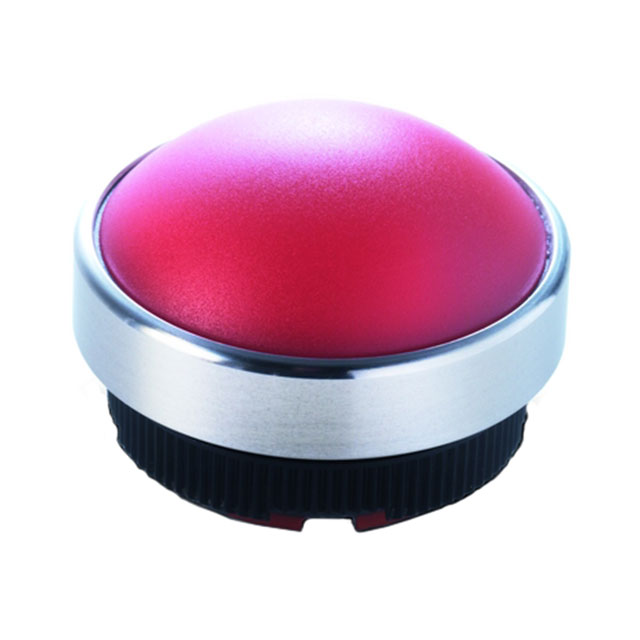 1.74.509.011/2400 RAFI USA  Voyants du panneau